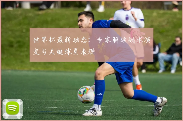 世界杯最新动态：专家解读战术演变与关键球员表现
