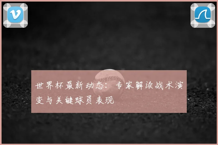 世界杯最新动态：专家解读战术演变与关键球员表现